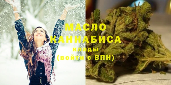 гашик Билибино