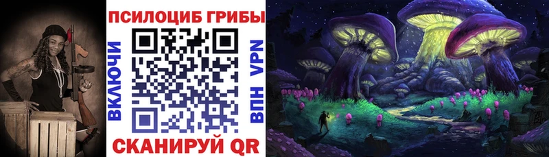 Галлюциногенные грибы Cubensis Карачаевск