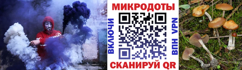 Псилоцибиновые грибы Magic Shrooms  даркнет сайт  Карачаевск 