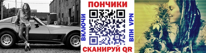 Бошки Шишки семена  цена   Карачаевск 